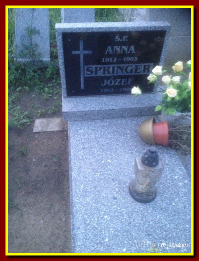 Springer J. A.